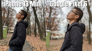 Pixel 6 vs iPhone 13 Mini Real World Camera Comparison