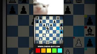 Smart Chess Suggester 💢 #chess #games #app