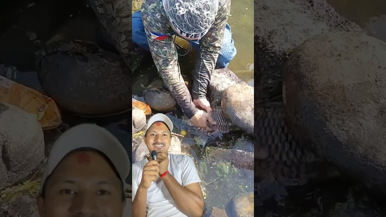 Yasari Pani Machha Chhopna Sakido Raixa - You can coat the fish with the help of a chicken egg