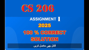 CS206 Assignment 1 Solution Fall 2025