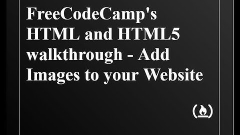 FreeCodeCamp - Basic HTML and HTML5 walkthrough -Add Images to Your Website