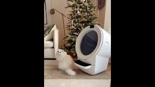 The New Year with Litter-Robot