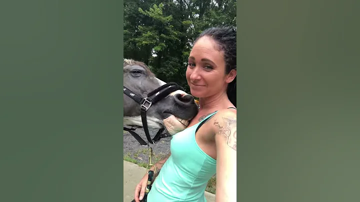 My overly dramatic horse getting new shoes