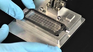 QuantStudeo--- one kind monster that can do every kinds of qPCR beyond your imagination