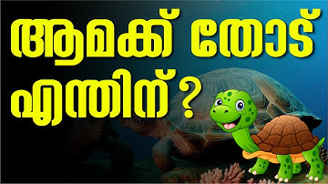 Class 4 EVS | Fields and Forests | വയലും വനവും | ഒട്ടകം എങ്ങനെയാണ് മരുഭൂമിയിൽ ജീവിക്കുന്നത് ?
