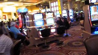 Bet365 live casino