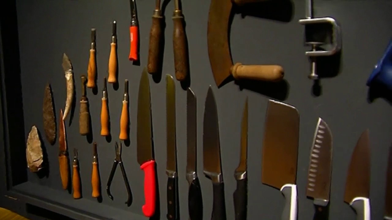 kxan traffic Exposició Sapiens. Obra Social ”la Caixa” (vídeo sense editar. Material premsa)