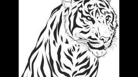 Showing a Craigslist scammer who