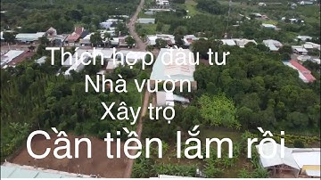 chị thúy tiếc lắm bán đất vườn tâm huyết bầu chinh châu đức bà rịa vũng tàu