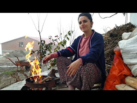 Köyde Yaşam ~ Kelle Paça Ütüleme ~ Günlük Köy İşleri | Villageria