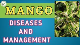 DISEASE OF MANGO CROPS AND MANAGEMENT || IBPS-AFO | ICAR | JRF | ADO | BHU