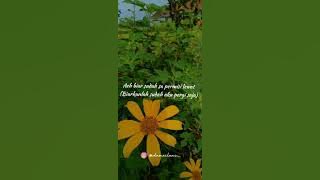 Mario G Klau Cover Percuma DXH Crew - Lirik dan Terjemahan