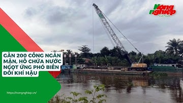 Gần 200 cống ngăn mặn, hồ chứa nước ngọt ứng phó biến đổi khí hậu