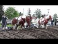 草ばん馬大会（北海道清水町旭山）