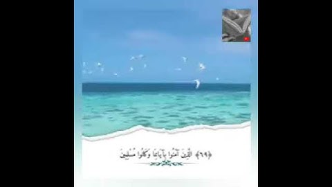 تلاوة خاشعة وآيات مباركة من سورة الزخرف📚|القارئ عمر الدريويز|حالات واتس اب إسلامية💞