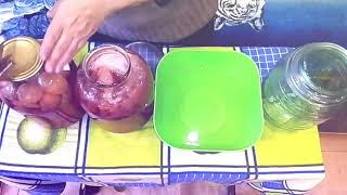 Уксусная матка. Квас из уксусной матки. Уксус из уксусной матки. Уксусная матка. Квас из уксусной матки. Уксус из уксусной матки.