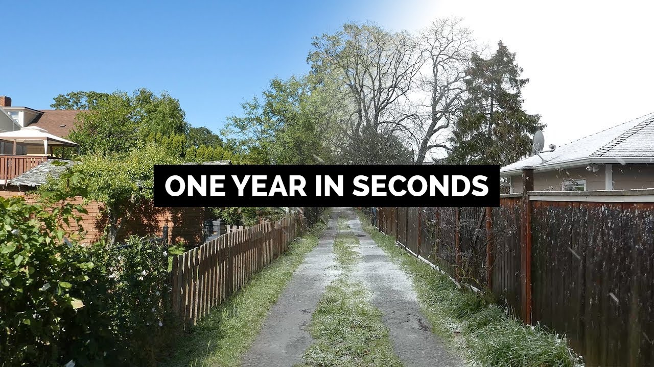 One Year In Seconds L Watch This Alley Transform Over The Seasons YouTube One Year In Seconds L Watch This Alley Transform Over The Seasons YouTube