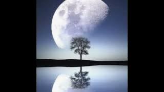 2025 m. spalio 19 d.