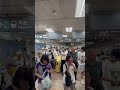 青鳥說國民黨遊行是動員遊覽車 我看是捷運局動員來的🤭