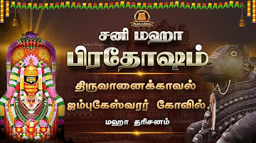 🔴Live: சனி பிரதோஷம் | திருவானைக்காவல் ஜம்புகேஸ்வரர் கோவில் | மஹா அபிஷேக அலங்கார தரிசனம் | Pradosham