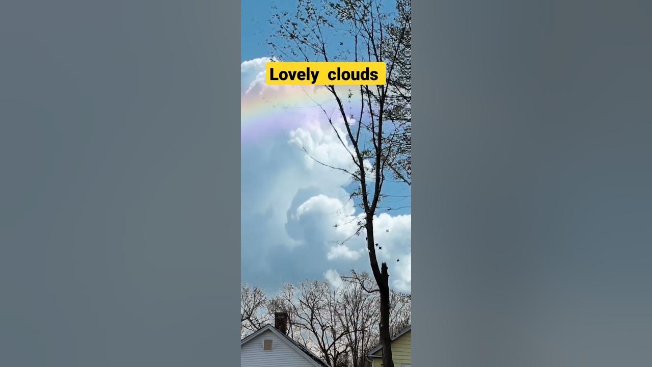 SKY FALL LOVELY DAY #shorts