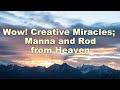 Wow! Creative Miracles; Manna and Rod from Heaven by Dr. Sandra Kennedy