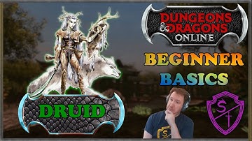 DDO Beginner Basics ~ The Druid