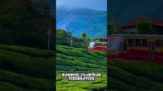 ആന വണ്ടിയും പ്രകൃതി ഭംഗിയും #shorts #short #shortvideo