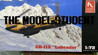 CHEAP MODELS: CH-113 Labrador