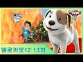 [헬로카봇 시즌12] 13화 - 영화배우가 된 바둑이