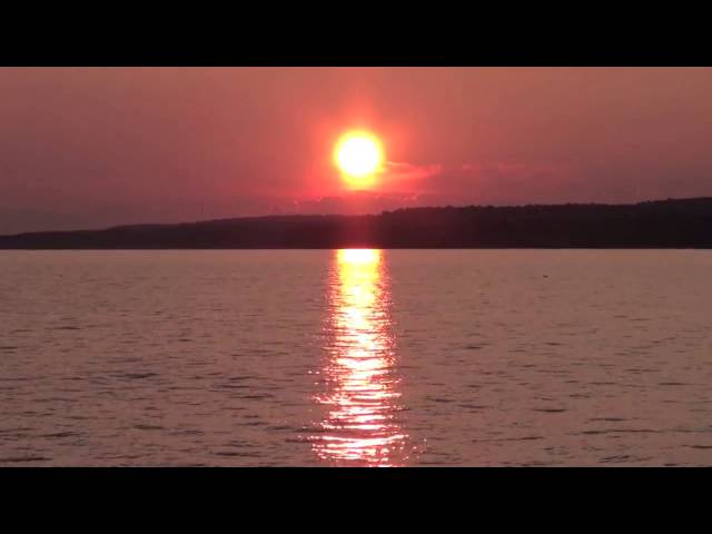 Jimmy Buffett - Everybody's Talkin'