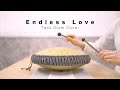 Endless love ( 美丽的神话 ) - The Myth OST ( Tank Drum Cover )