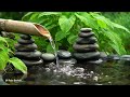 Relaxing Music Sleep 🌿 Piano Music & Nature Sounds Relax Mind, Body and Soul, Spa BGM, Calming Music