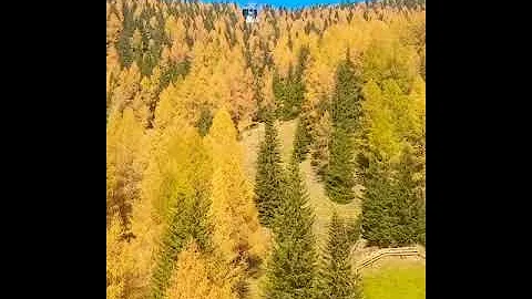 Dove si prende la cabinovia tre cime?