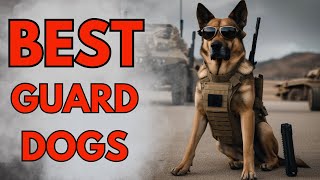World’s TOP 12 MOST PROTECTIVE Guard Dogs by PawPrints Perfect 408 views 1 month ago 10 minutes, 9 seconds