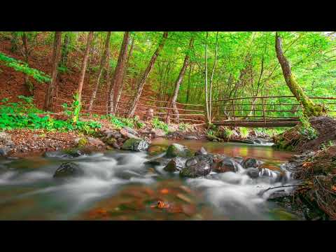 さんぽ / 井上あずみ【MIDI音源･バイオリン】