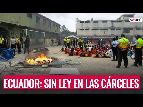 Vídeo: Escapar De Gringolandia En Quito, Ecuador - Matador Network