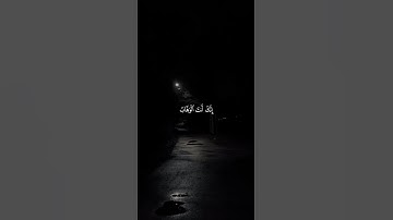 اكتب شيء تؤجر عليه..💚😴 / القارئ عبد الرحمن مسعد | قران كريم