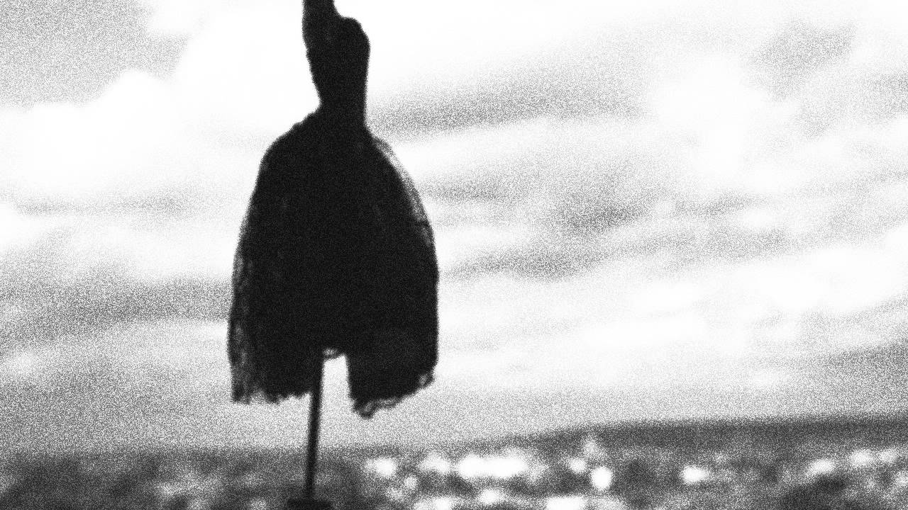 babyfin jonathan keevil