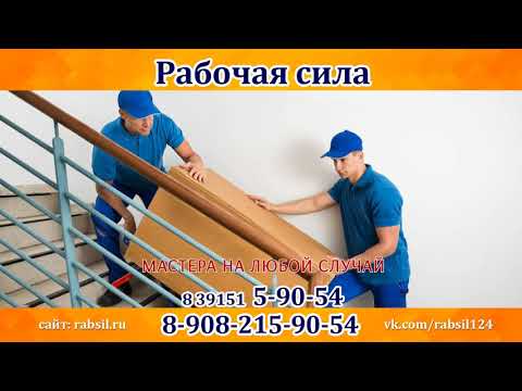 Рабочая сила