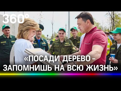 Красные клёны и яблони шести сортов:  «Лес победы» посадили в Подмосковье