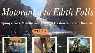 Mataranka to Edith Falls Week 4