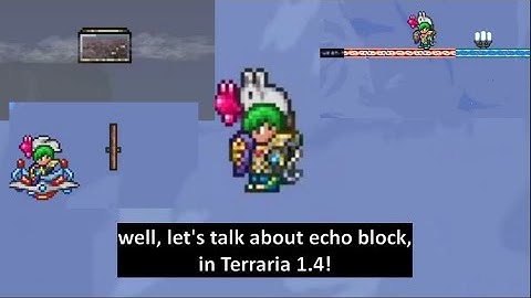 How to float in Terraria 1.4, with some echo blocks! (technically you