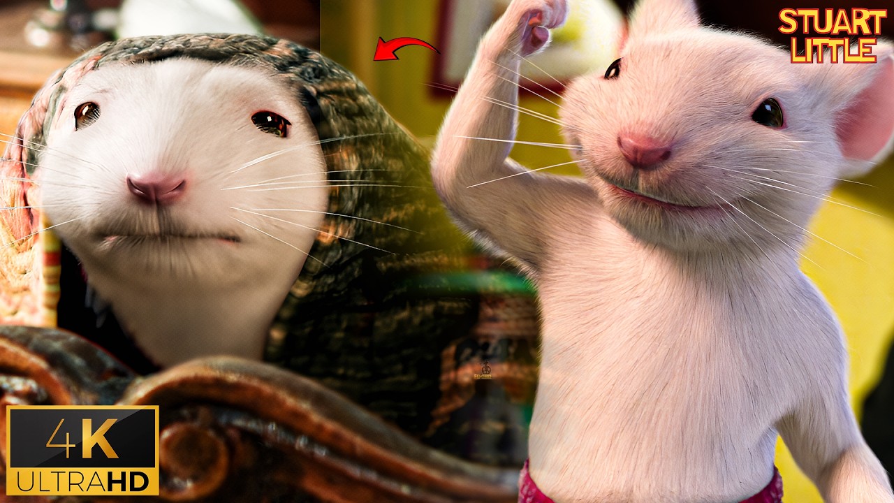 Welcome Stuart Welcome to Stuart’s World | Stuart Little 2 - YouTube
