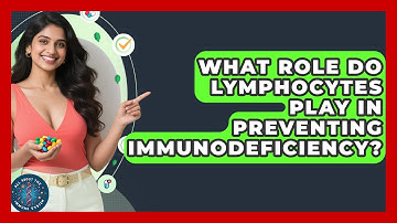 What Role Do Lymphocytes Play In Preventing Immunodeficiency? - All About the Immune System