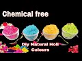 DIY Organic Natural Holi Colours at Home/Safe & Natural Holi Colours/Chemical free colours/homemade