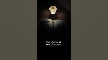 الفجر_المنشاوي #تلاوة_خاشعة #المنشاوي #اكسبلور #قرآن #quran #المصحف