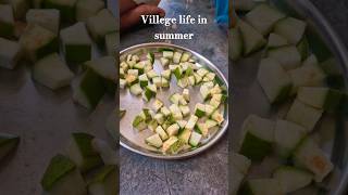 Villege Life In Summer shorts trending ytshorts villege summar mango