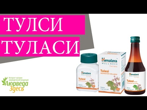 Видео: Тайландският свещен босилек ли е същият като Тулси?