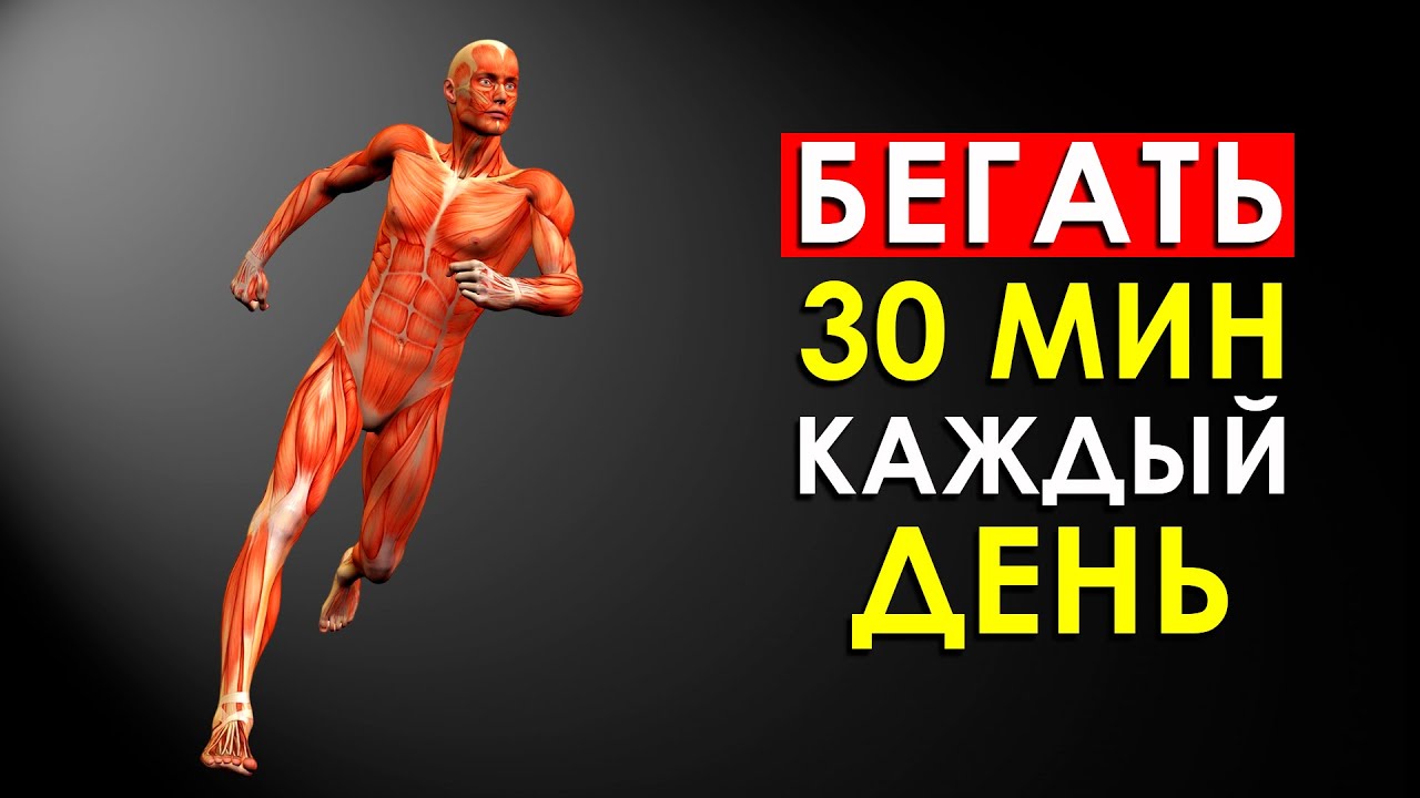 что дает пробежка по утрам? что дает пробежка по утрам?